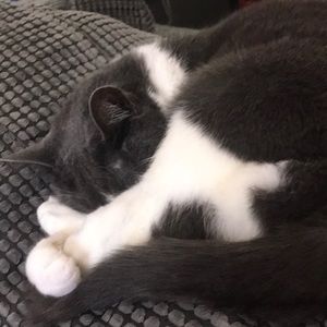 Meet your Posher, Arianne